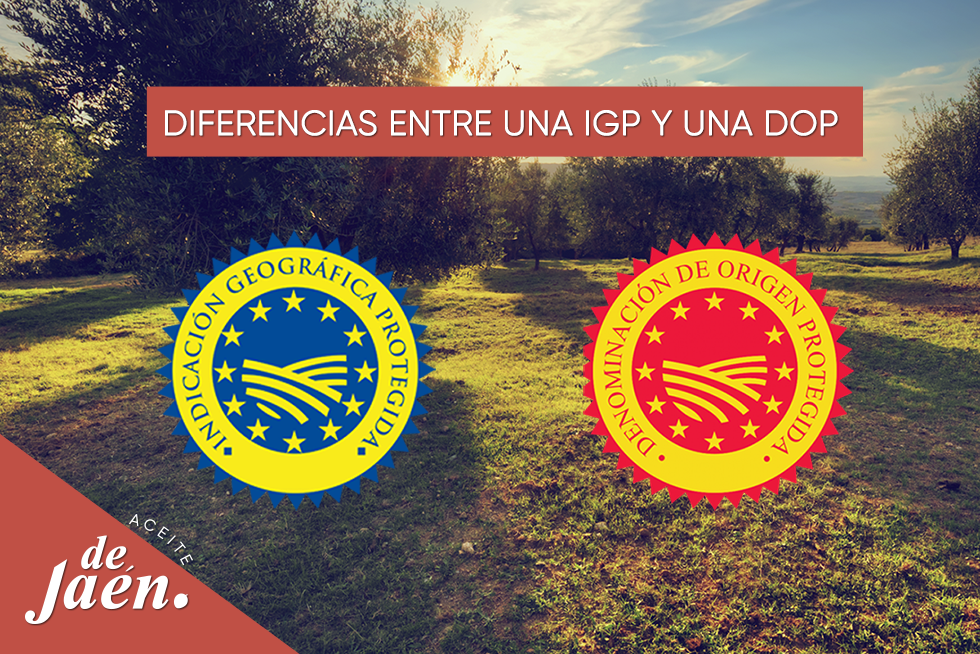¿En qué se diferencian una Indicación Geográfica Protegida y una Denominación de Origen Protegido ?