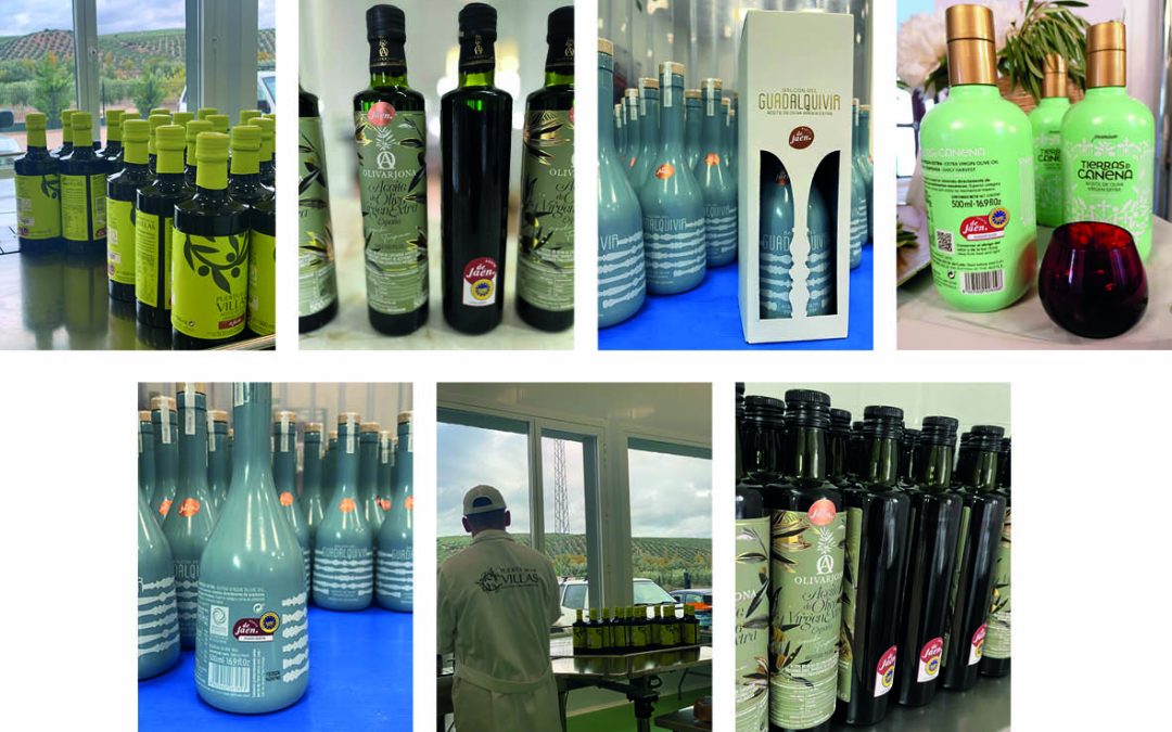 El sello de la I.G.P. “Aceite de Jaén” ya brilla en el mercado de los aceites tempranos y de alta gama