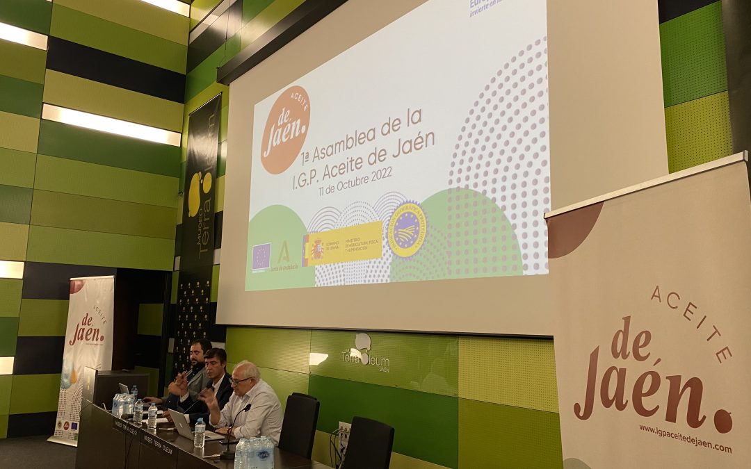 Presentada una única candidatura para la renovación del Consejo Regulador de  la IGP Aceite de Jaén