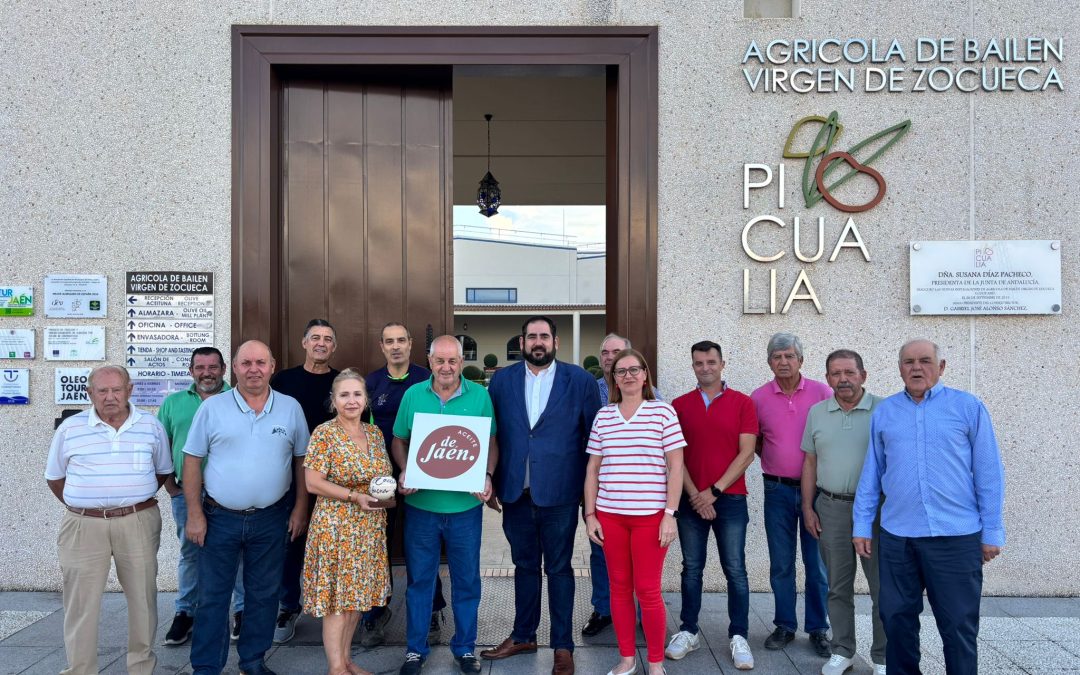 ARRANCA LA CAMPAÑA OLEÍCOLA 25/26: LOS INSCRITOS DE LA IGP “ACEITE DE JAÉN” INICIAN LA RECOLECCIÓN DE LOS PRIMEROS AOVES Y SE SUMAN NUEVAS MARCAS DE PRESTIGIO
