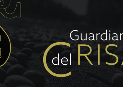 GUARDIANES DEL CRISAL